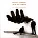 Elliott Murphy, Iain Matthews