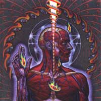 Tool