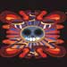 Super Furry  Animals