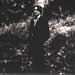 Alain Bashung