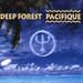 Deep Forest