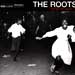 the roots