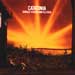catatonia