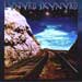 lynyrd skynyrd
