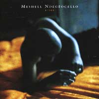 Meshell Ndegeocello
